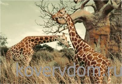 Ковер Фауна 50545